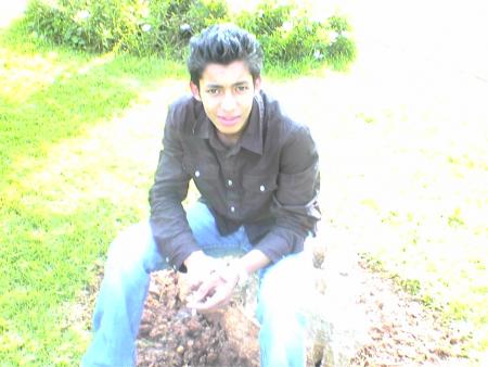 ramii